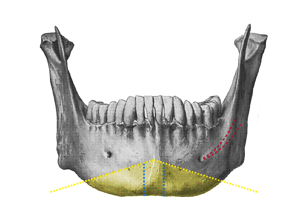 facial_conturing_11